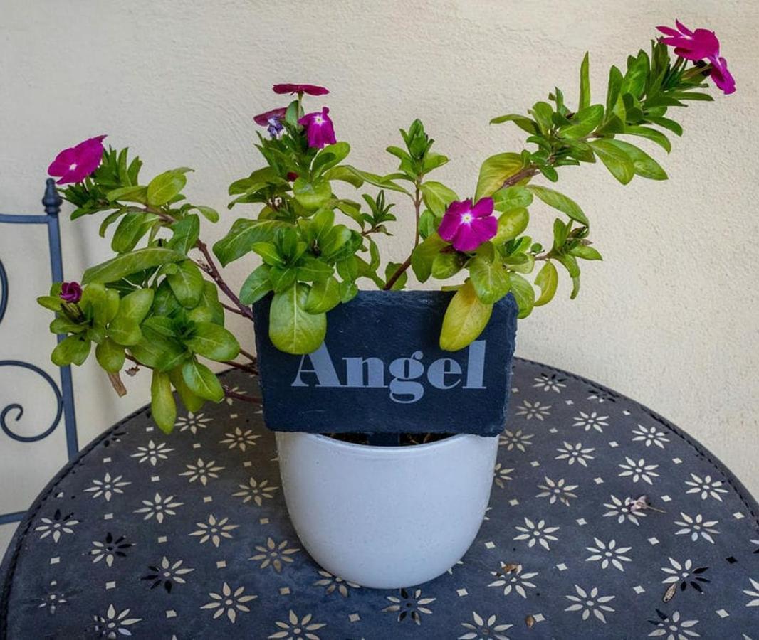 Angel @ Aragon Court Apartment Marsascala Exterior foto
